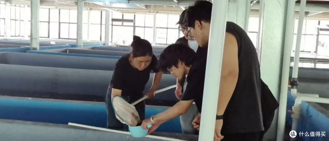 扎根产业创新实践:顾赛麒教授指导学生探索富氢水养殖产业升级