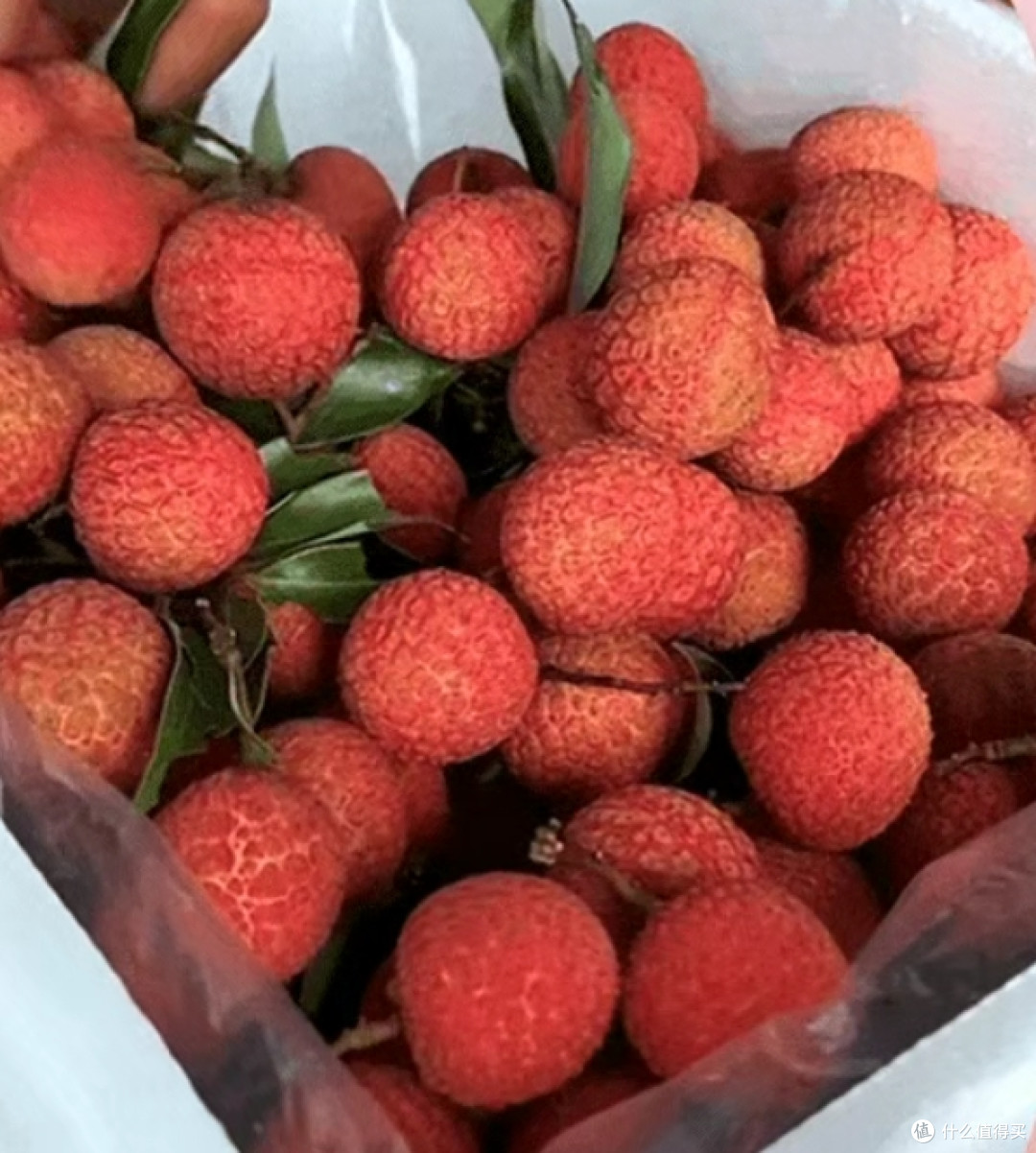 盛夏限定丨白糖罂荔枝上市,纯甜无酸,i百联火热开售!