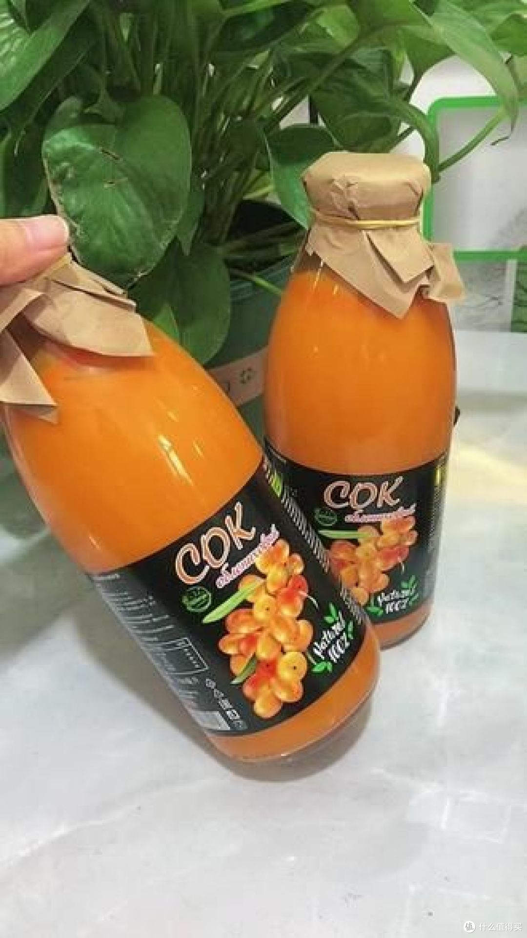 原浆和纯果汁的区别，看这里！