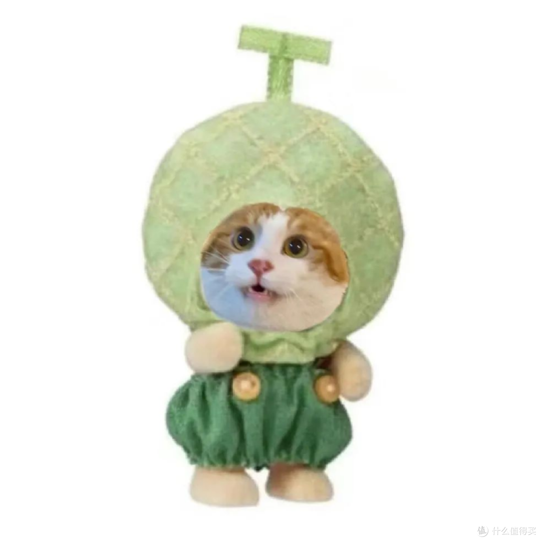 城市理享、希喂、诚实一口的区别,猫粮哪个牌子质量好性价比高?