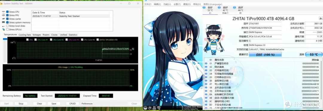 信仰装机必备！致态TiPro9000SSD《黑神话：悟空》联名版体验评测
