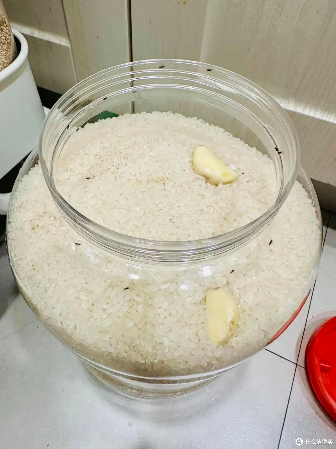 被“42岁阿姨”的厨房惊艳到了，顶级智慧思维，干净的人真了不起