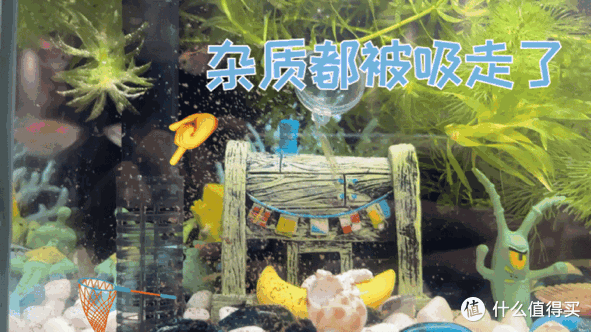 妞在这个618推荐的家居好物来啦