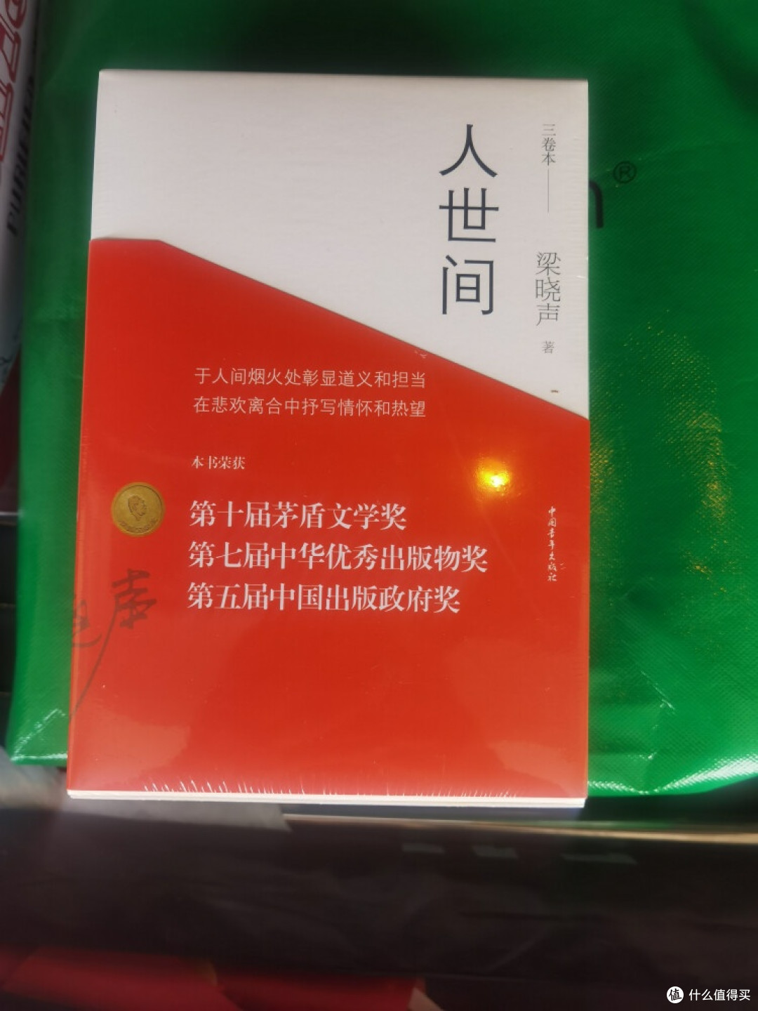 《人世间》:五十年平民生活史诗