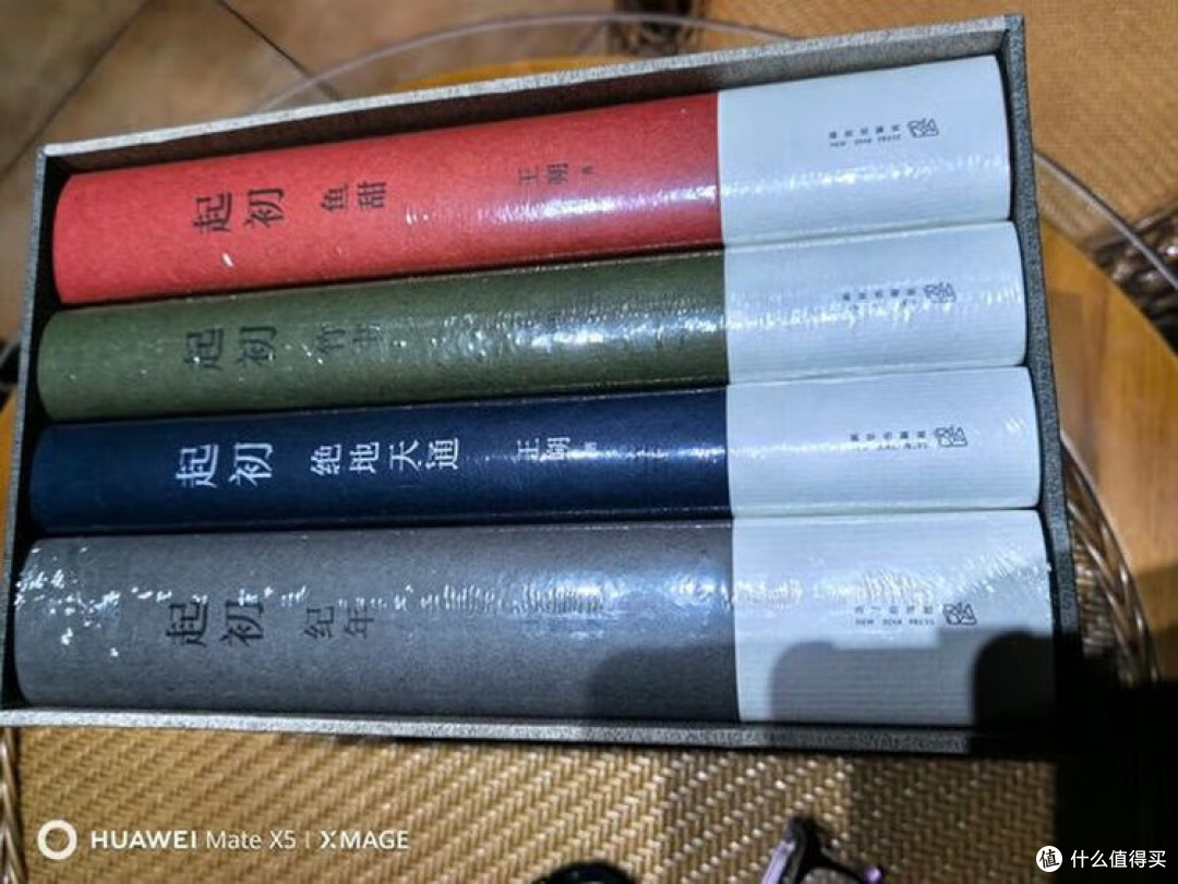 王朔记忆拼图：从批判到自省