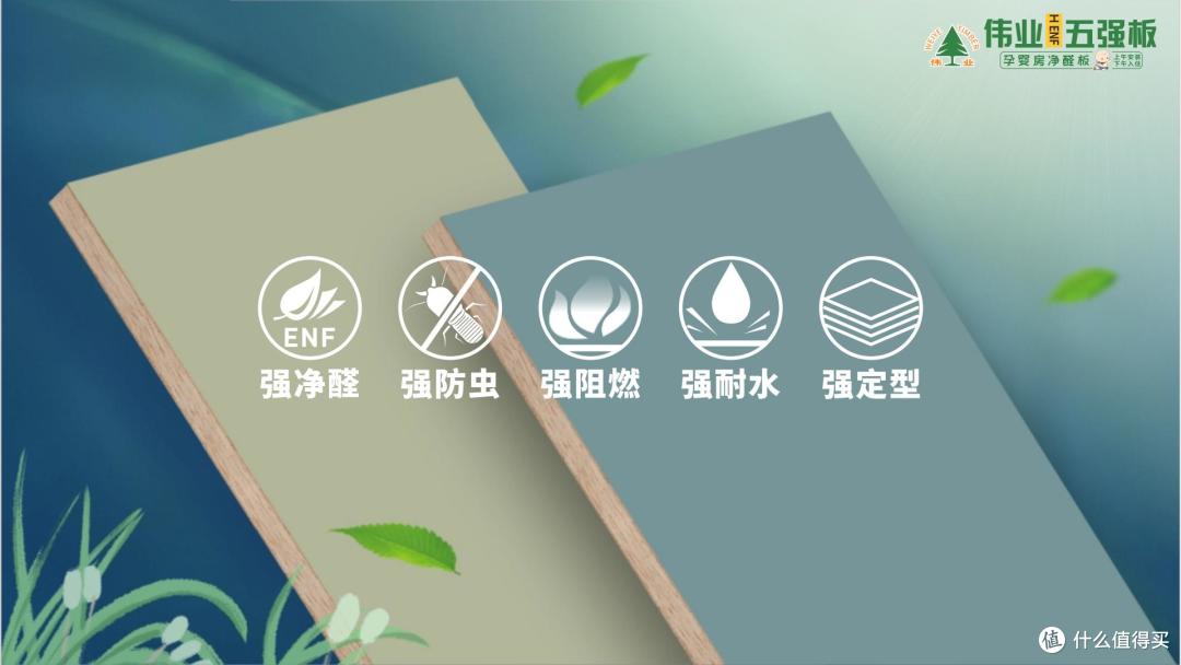 装修人狂喜！伟业五强板无机生态胶，让家自带“安全结界”