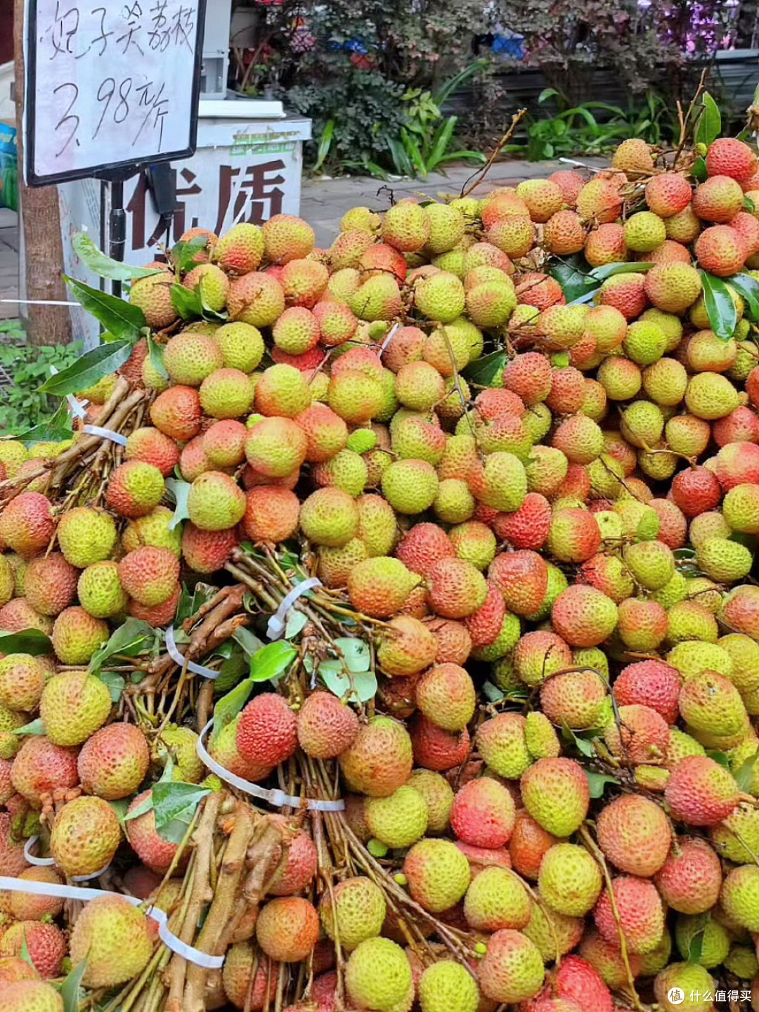 荔枝的天塌啦!我们却实现了“桂味自由”!
