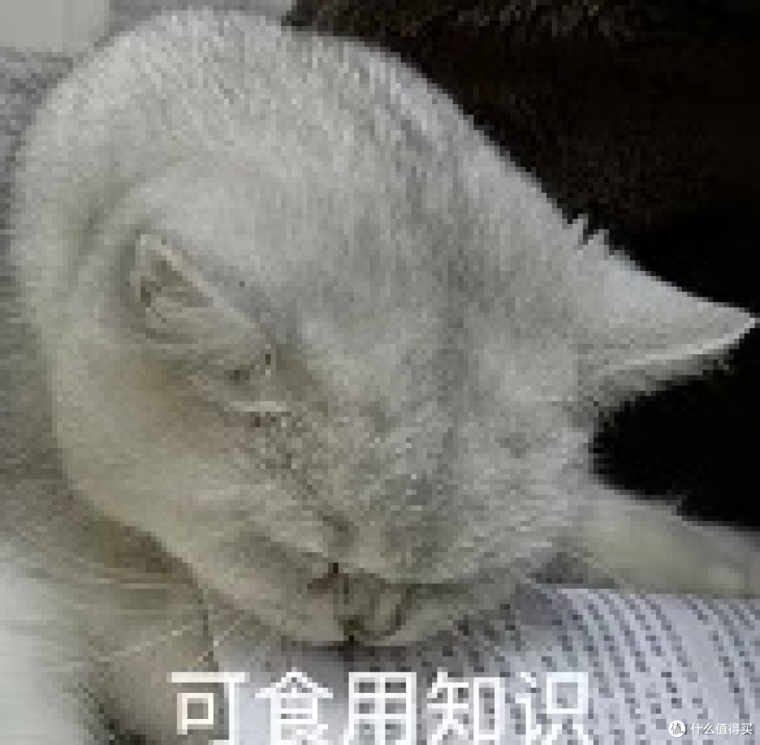 挂烫机什么牌子好?十大品牌实测,手把手教你选!
