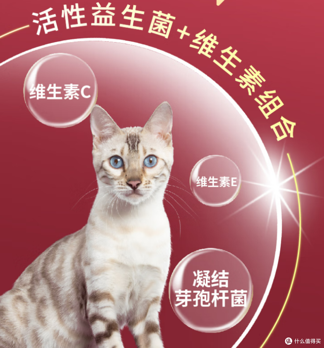 养猫人必囤!冠能鸡肉味猫粮让我家喵疯狂心动