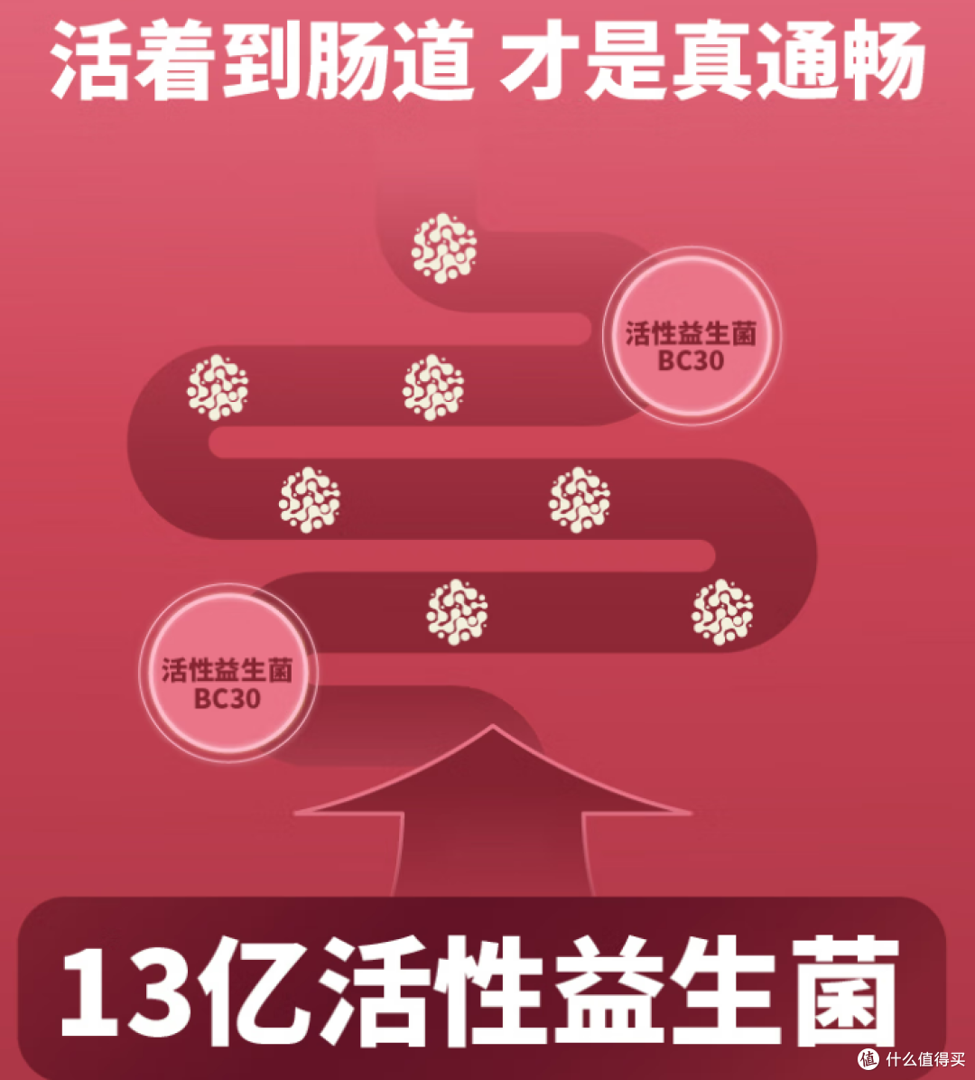 养猫人必囤!冠能鸡肉味猫粮让我家喵疯狂心动