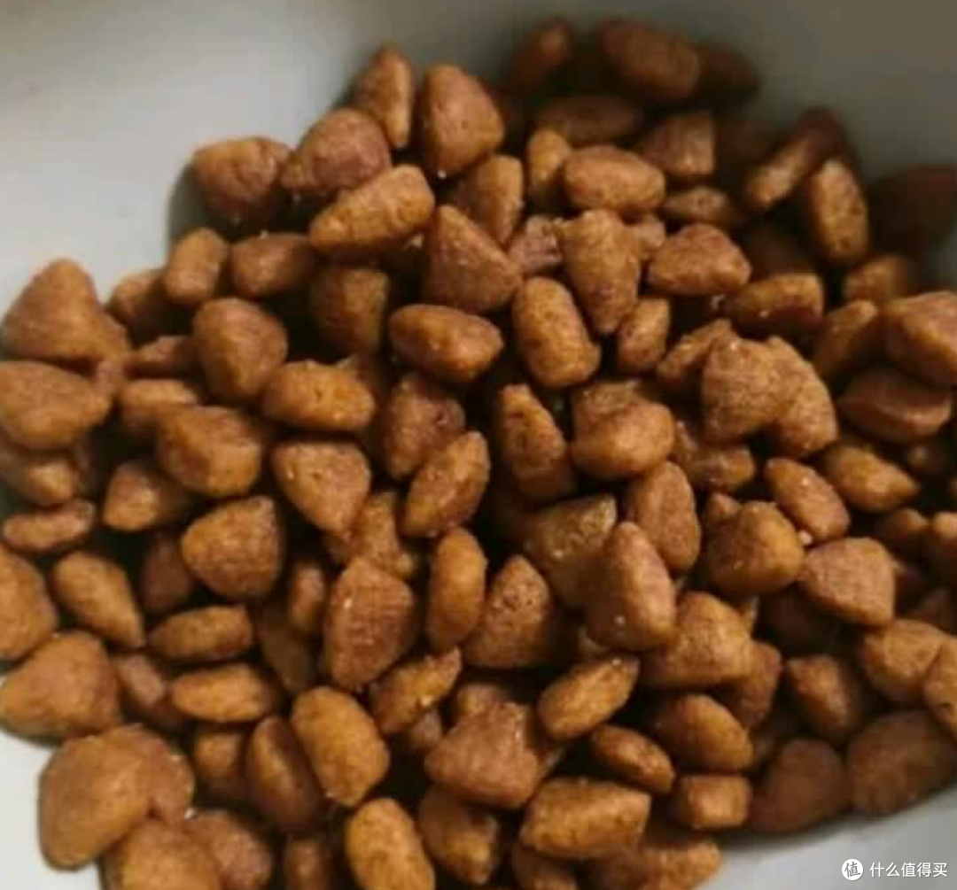 救命!这猫粮让我家挑食怪秒变炫饭狂魔