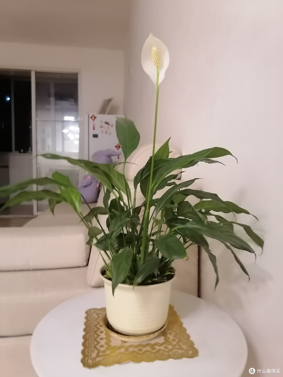 哇!潜力作者激励计划来袭!