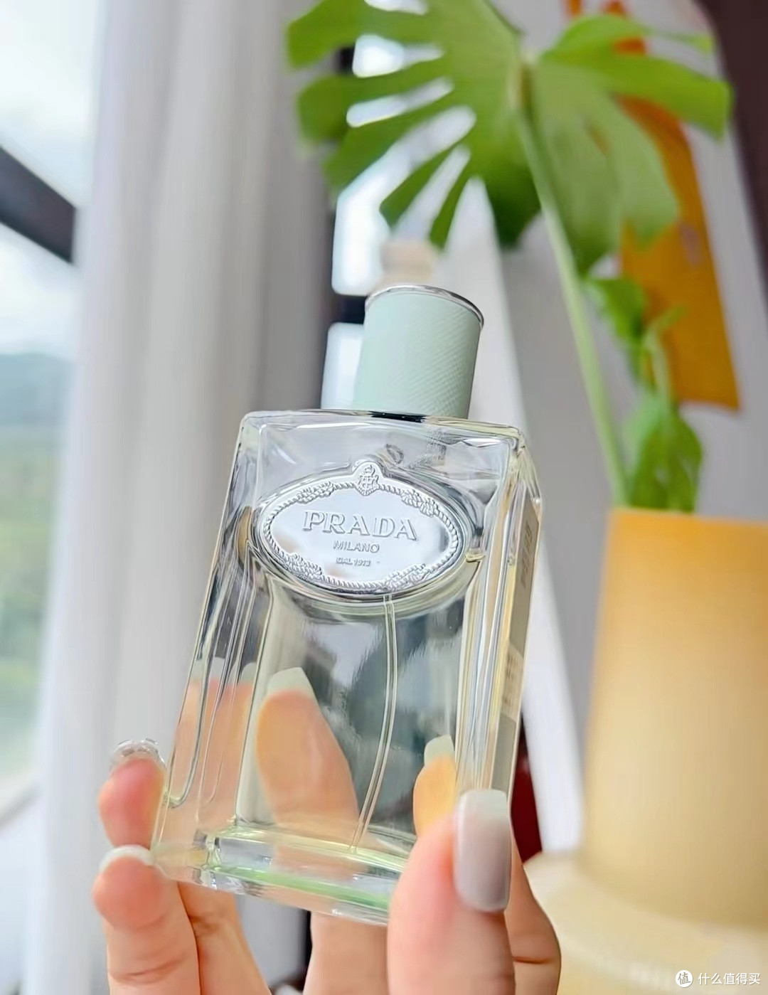 普拉达(PRADA) 浮梦鸢尾香水:清冷洒脱的木质花香调