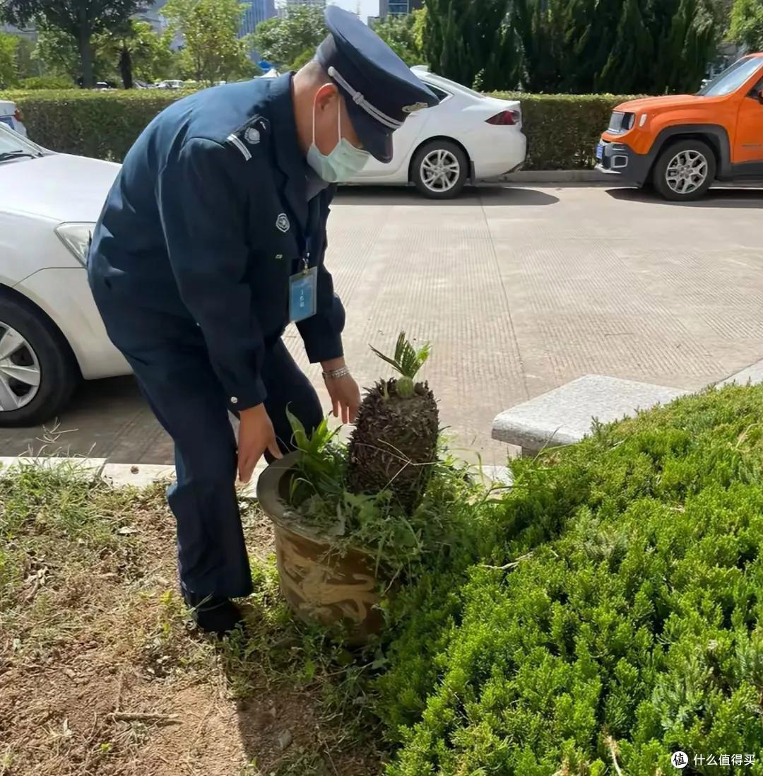 上海一保安,因“捡业主淘汰的花养”而火了,网友:给叔叔涨工资