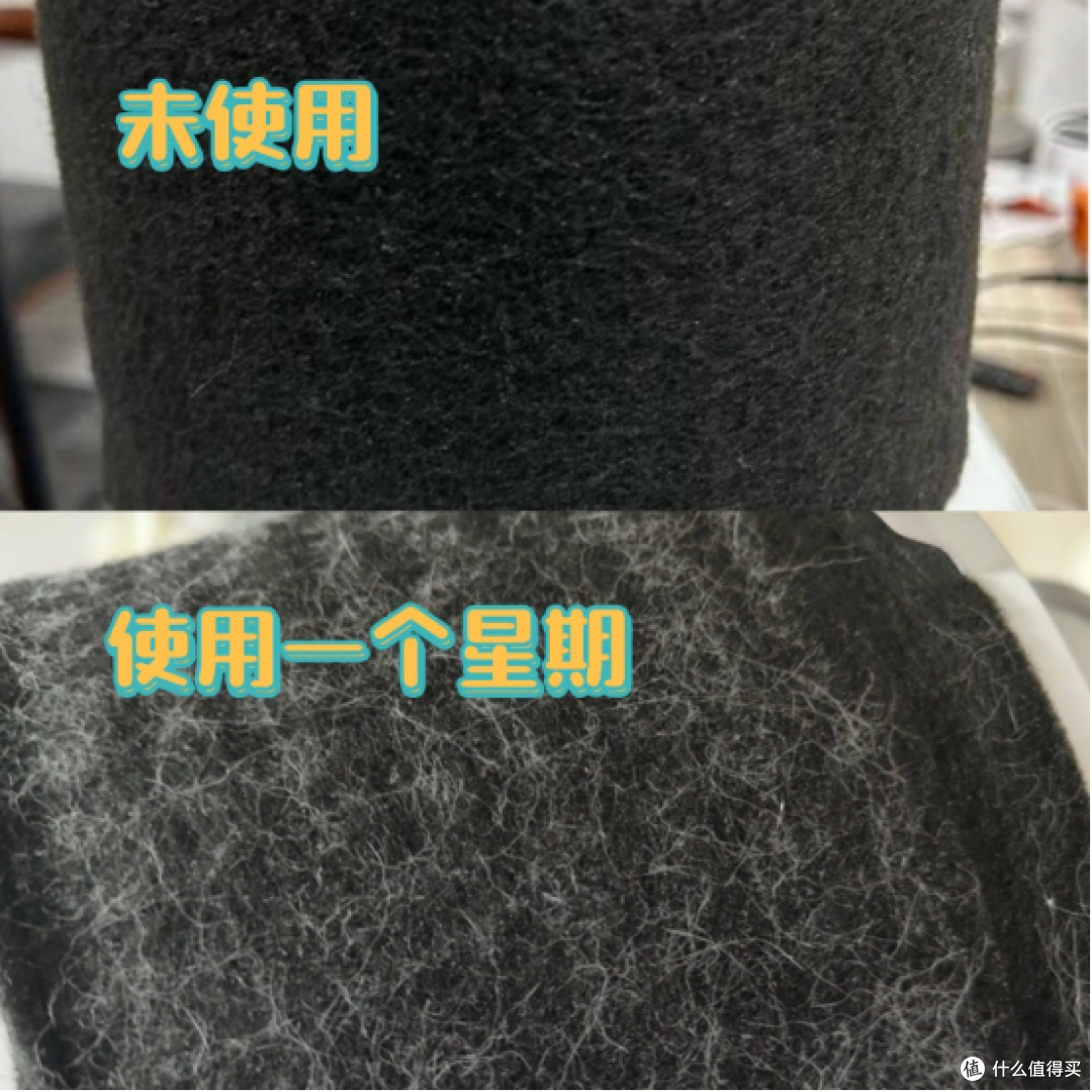 宠物空气净化器哪个好用?分享2025年宠物空气净化器十大排名产品