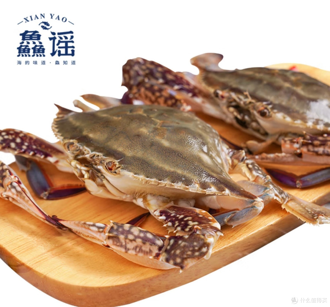 鱻谣超大号梭子蟹:黄海馈赠的“蟹中巨擘”🦀