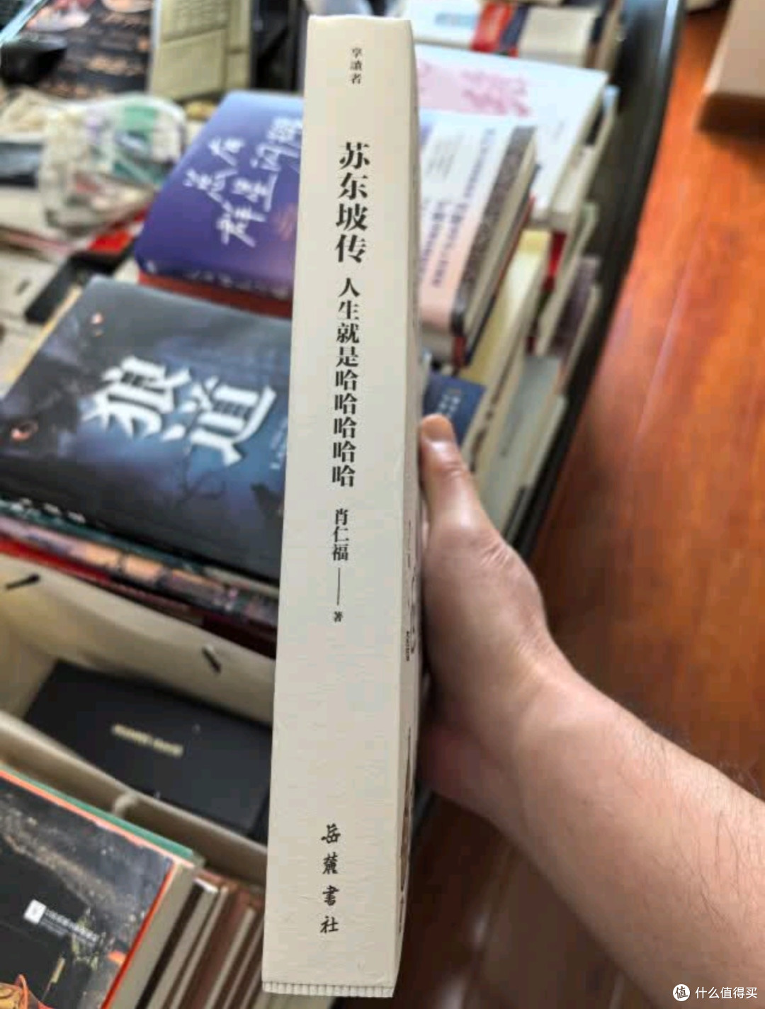 在苏东坡的“哈哈哈”里,开启治愈之旅