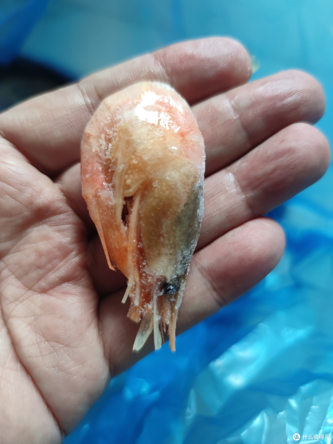 美加佳熟冻北极甜虾，3斤大包装