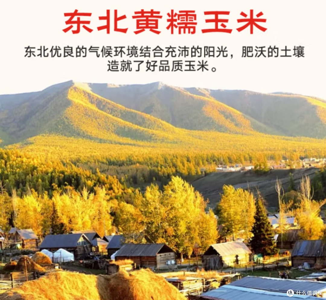 味蕾的乡愁，从一根京鲜生东北黄糯玉米棒开始