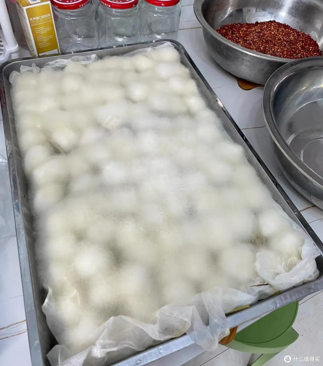 果然,每个地方都有自己的折耳根,哈哈哈哈