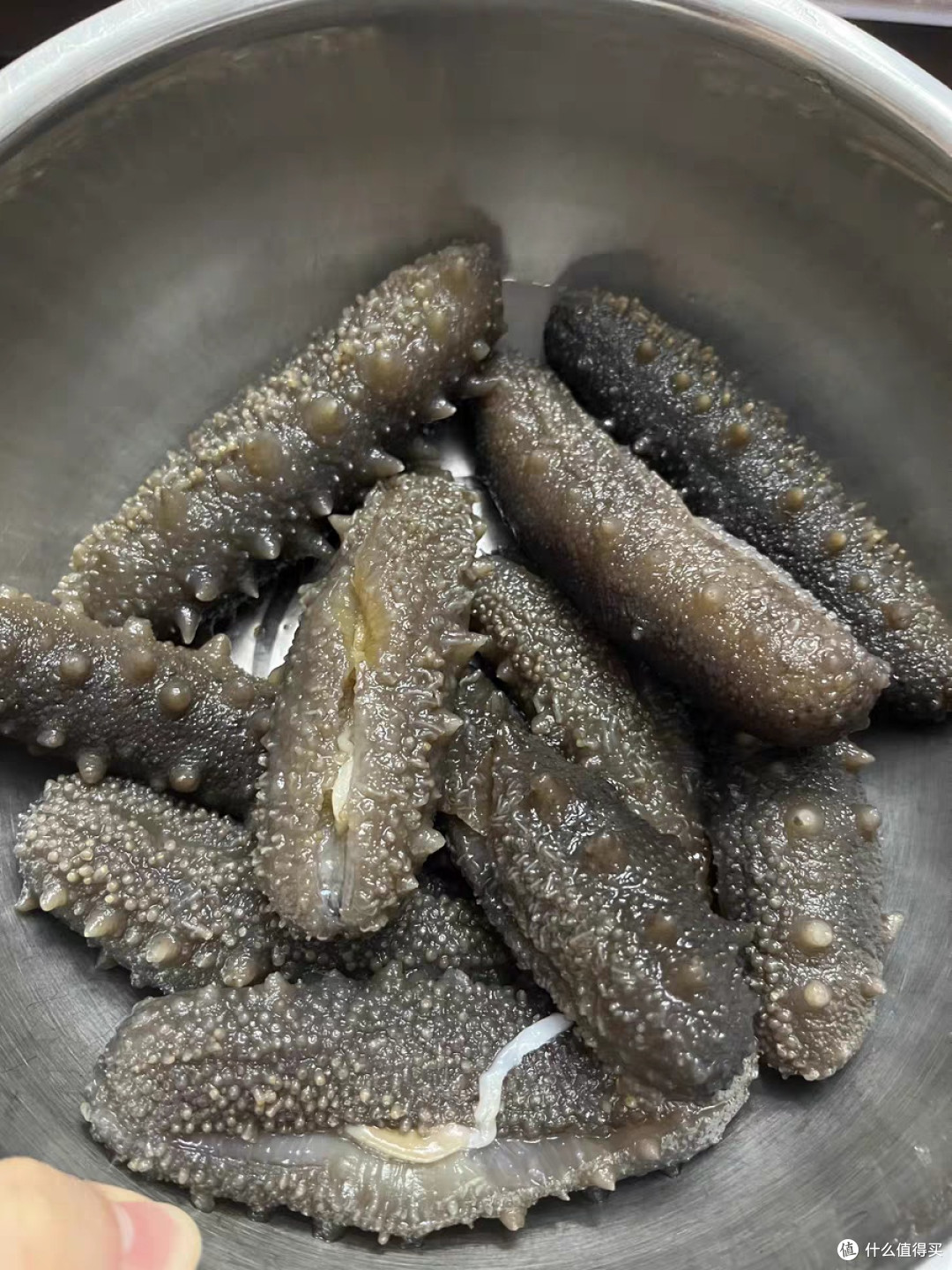 参王朝精选大连海生深海底播9年淡干海参