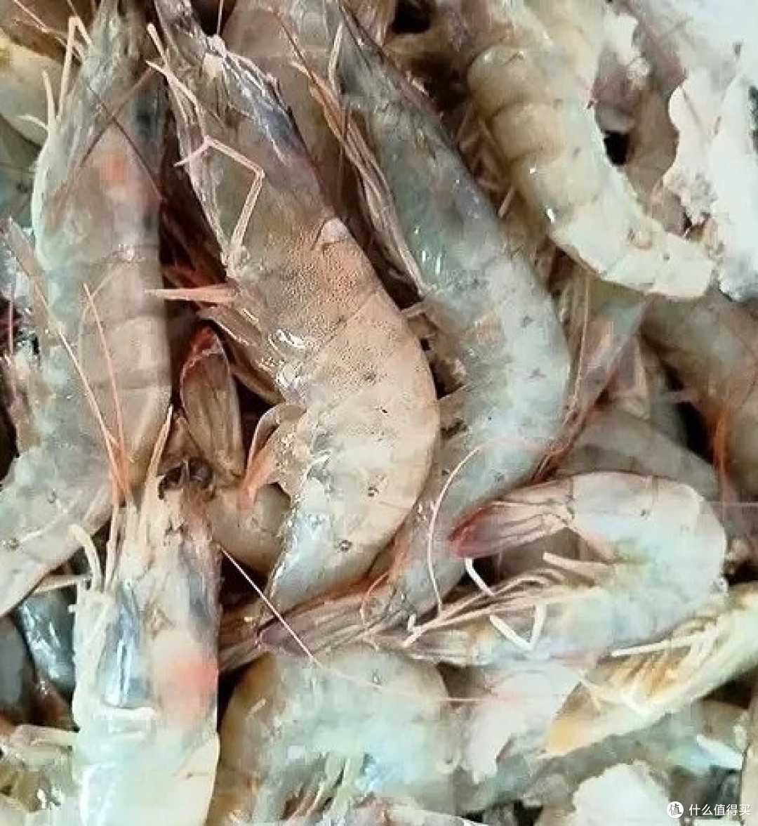 618必囤!原装进口王牌盐冻大虾,一口鲜到爆