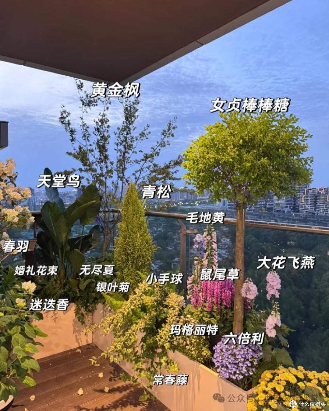 被年轻人的阳台造景惊到了!不度假的日子,竟成了最幸福的时刻!