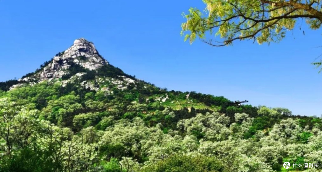 苍马山国际旅游度假区攻略:探秘鲁南山水秘境