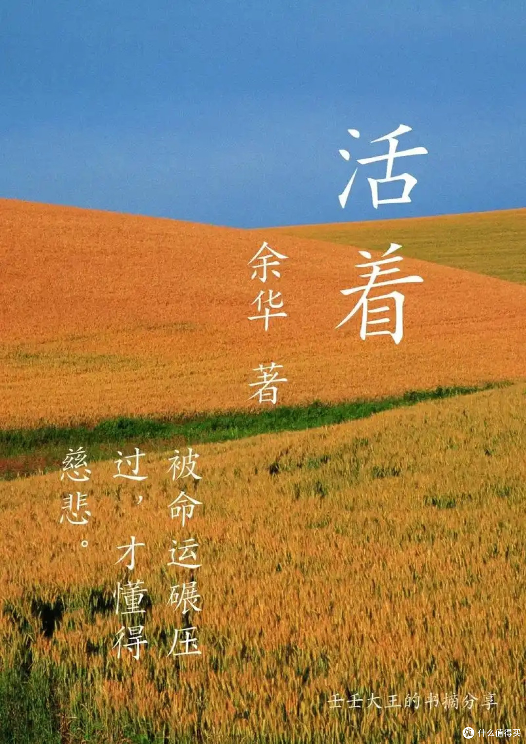 618囤书攻略：高性价比书籍挑选指南