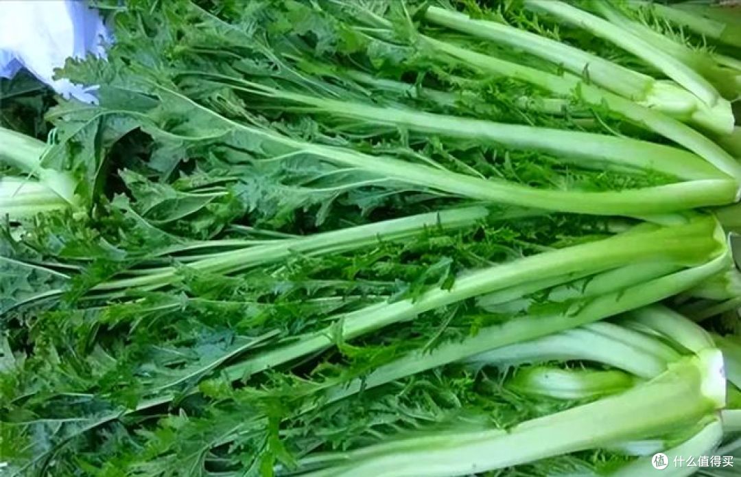 正宗绍兴梅干菜是什么菜做的?点击了解!
