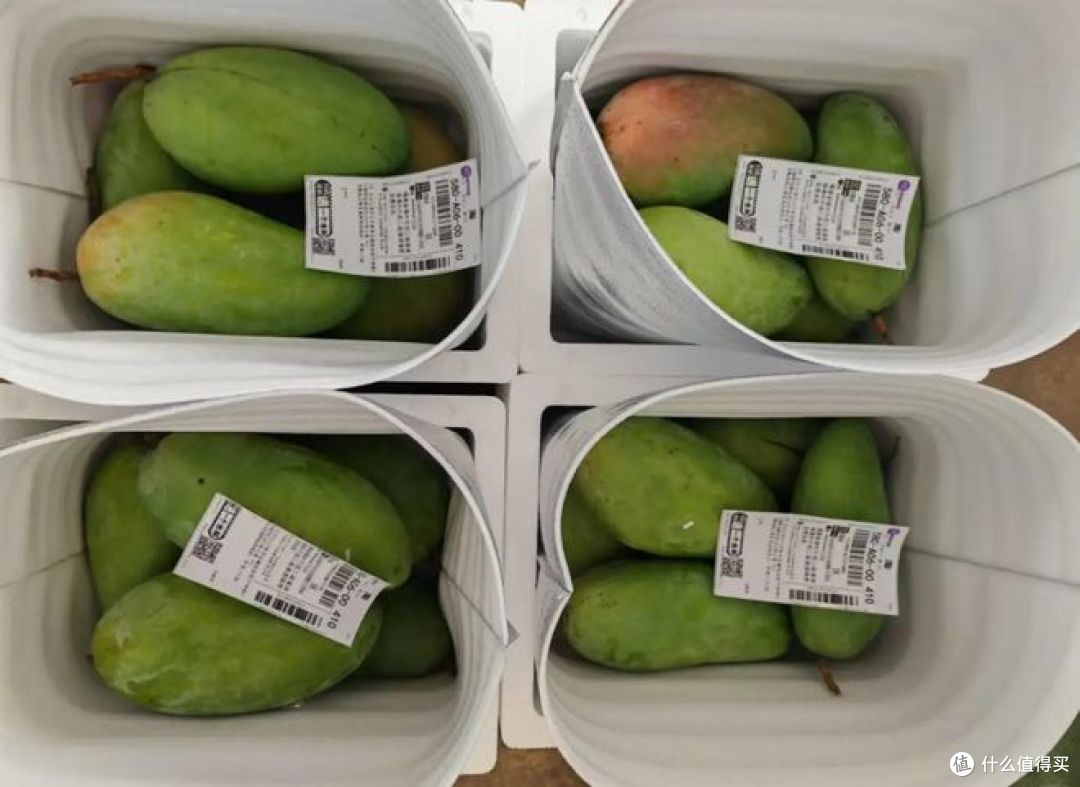 越南大青芒好吃吗？是不是水果界的“明星产品”？