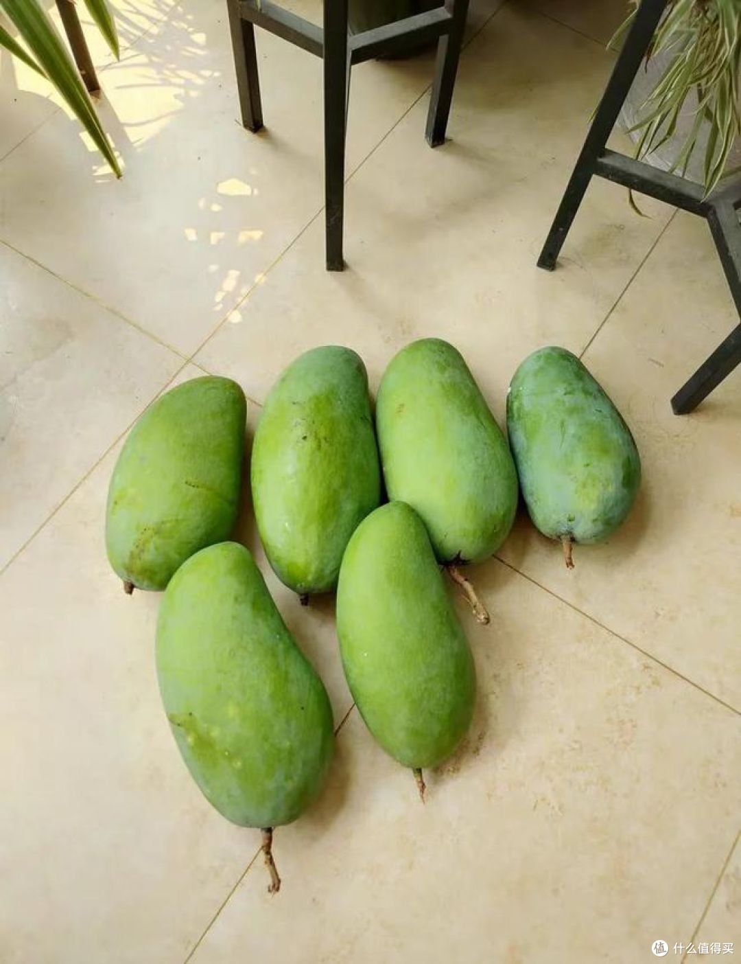 越南大青芒好吃吗？是不是水果界的“明星产品”？