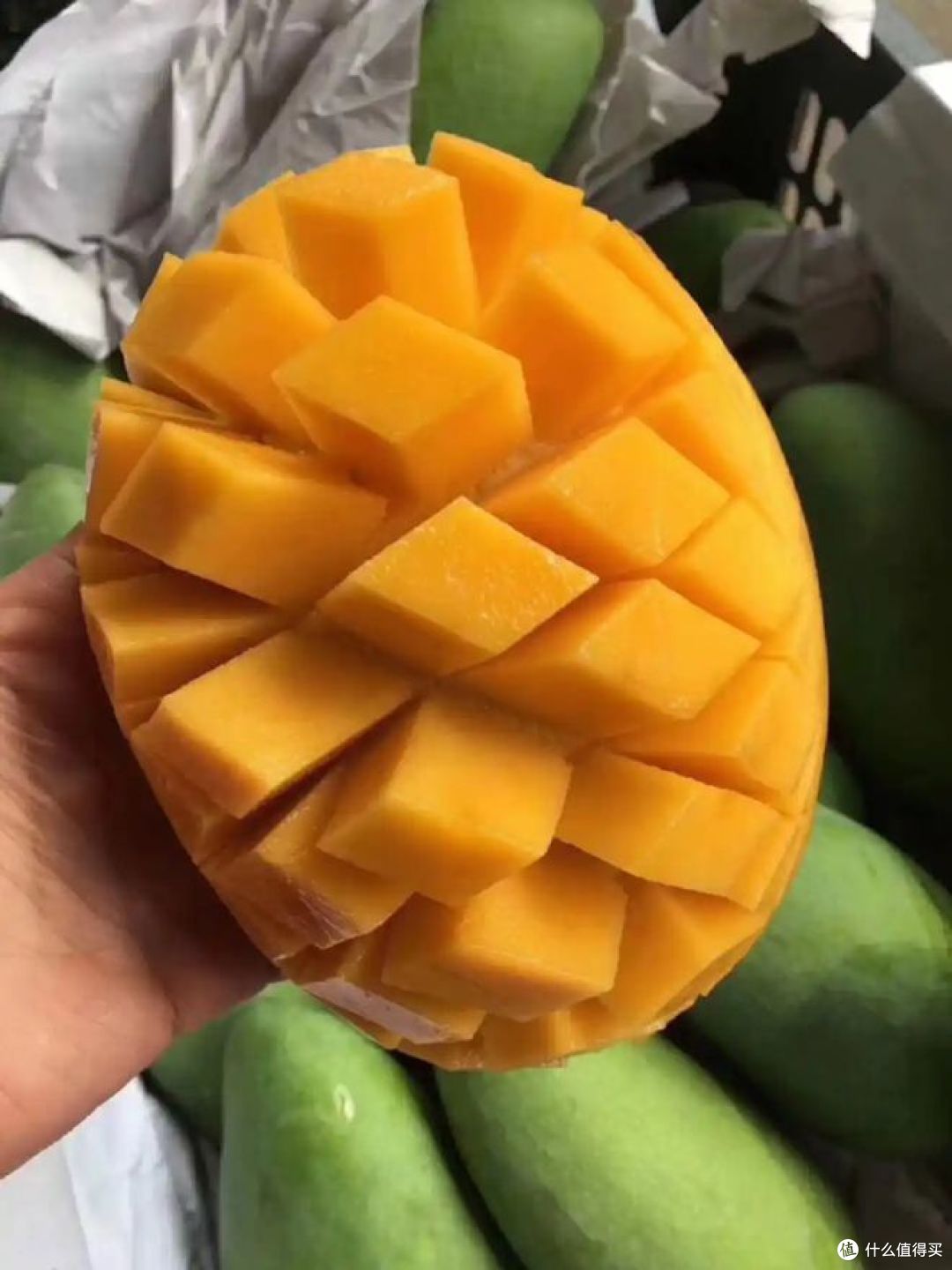 越南大青芒好吃吗？是不是水果界的“明星产品”？