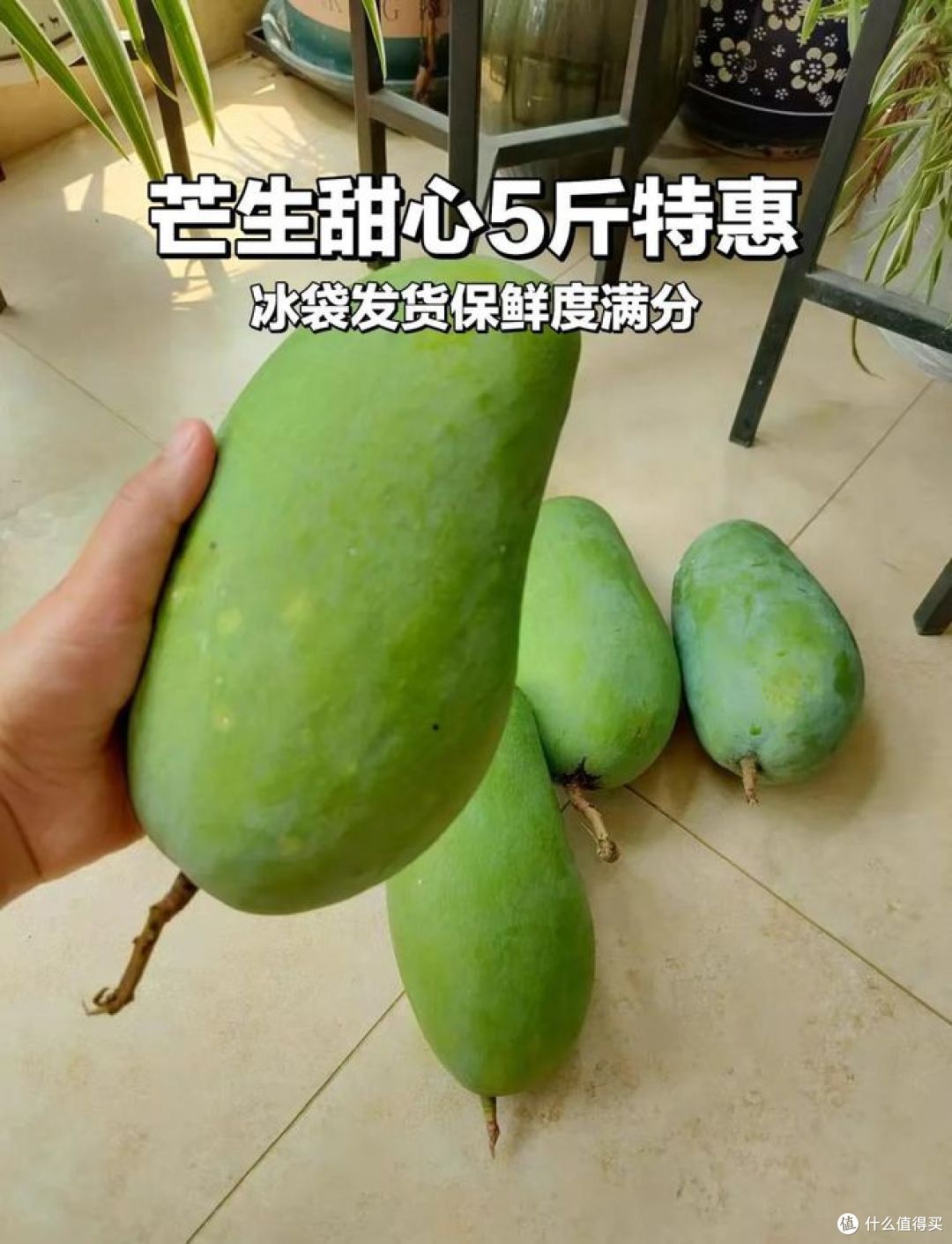 越南大青芒好吃吗？是不是水果界的“明星产品”？