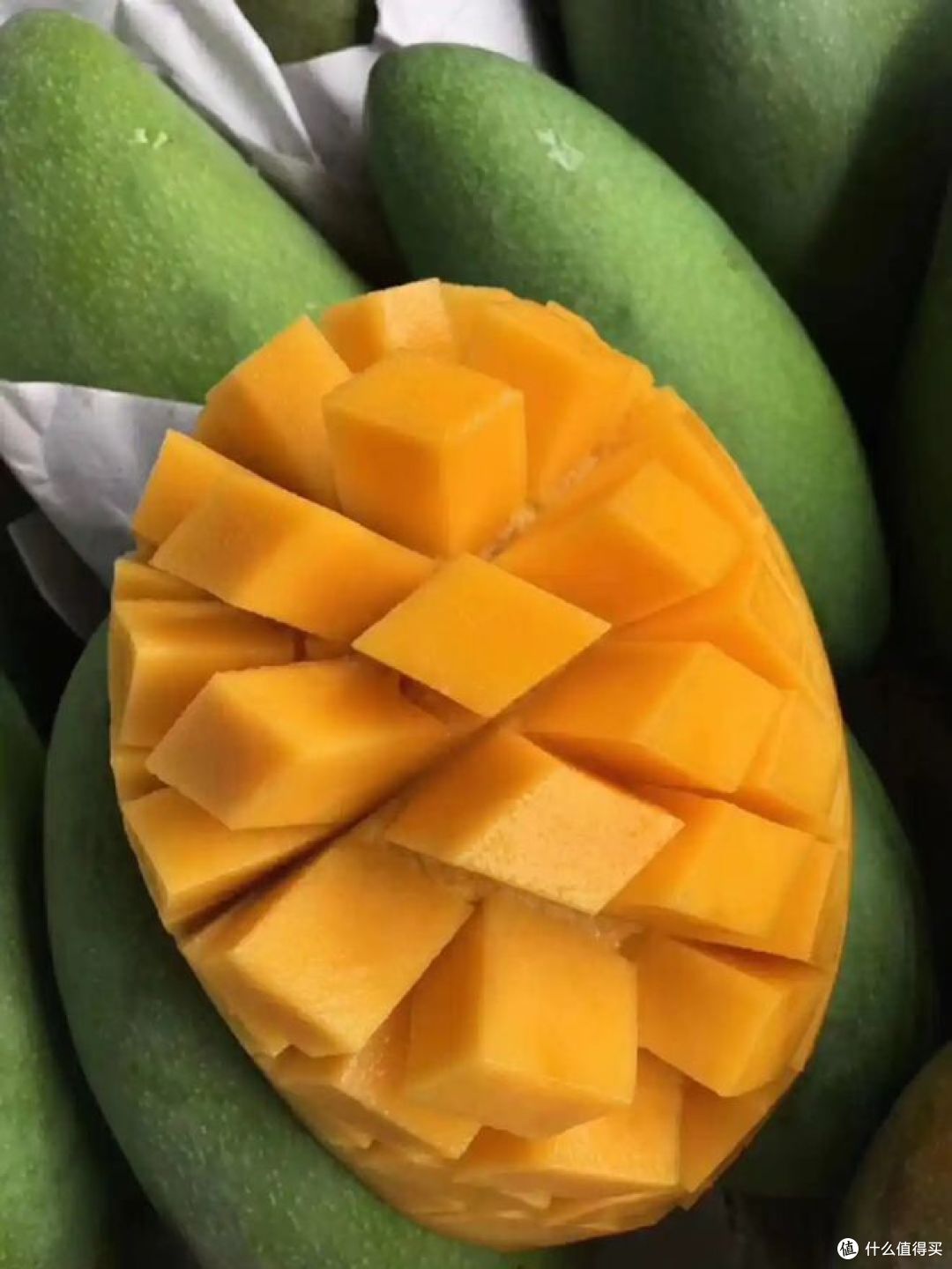 越南大青芒好吃吗？是不是水果界的“明星产品”？