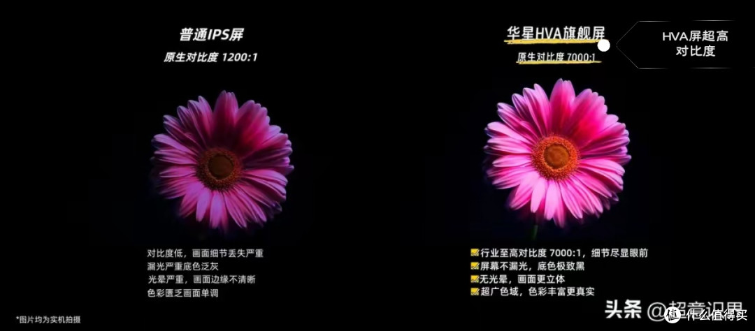 入门级电视,这台赢麻了