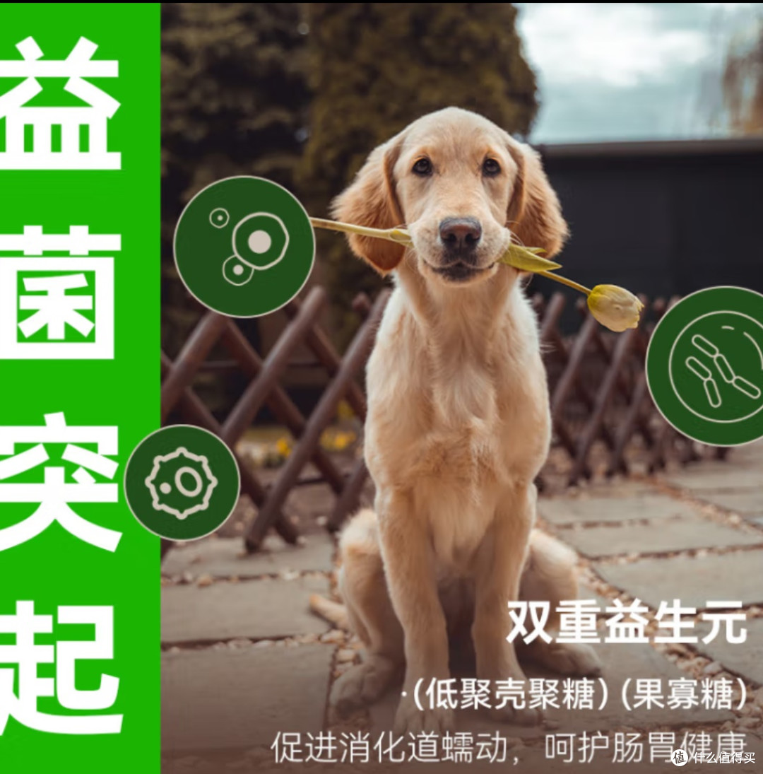 被狗子追着喂的狗粮,你见过吗?
