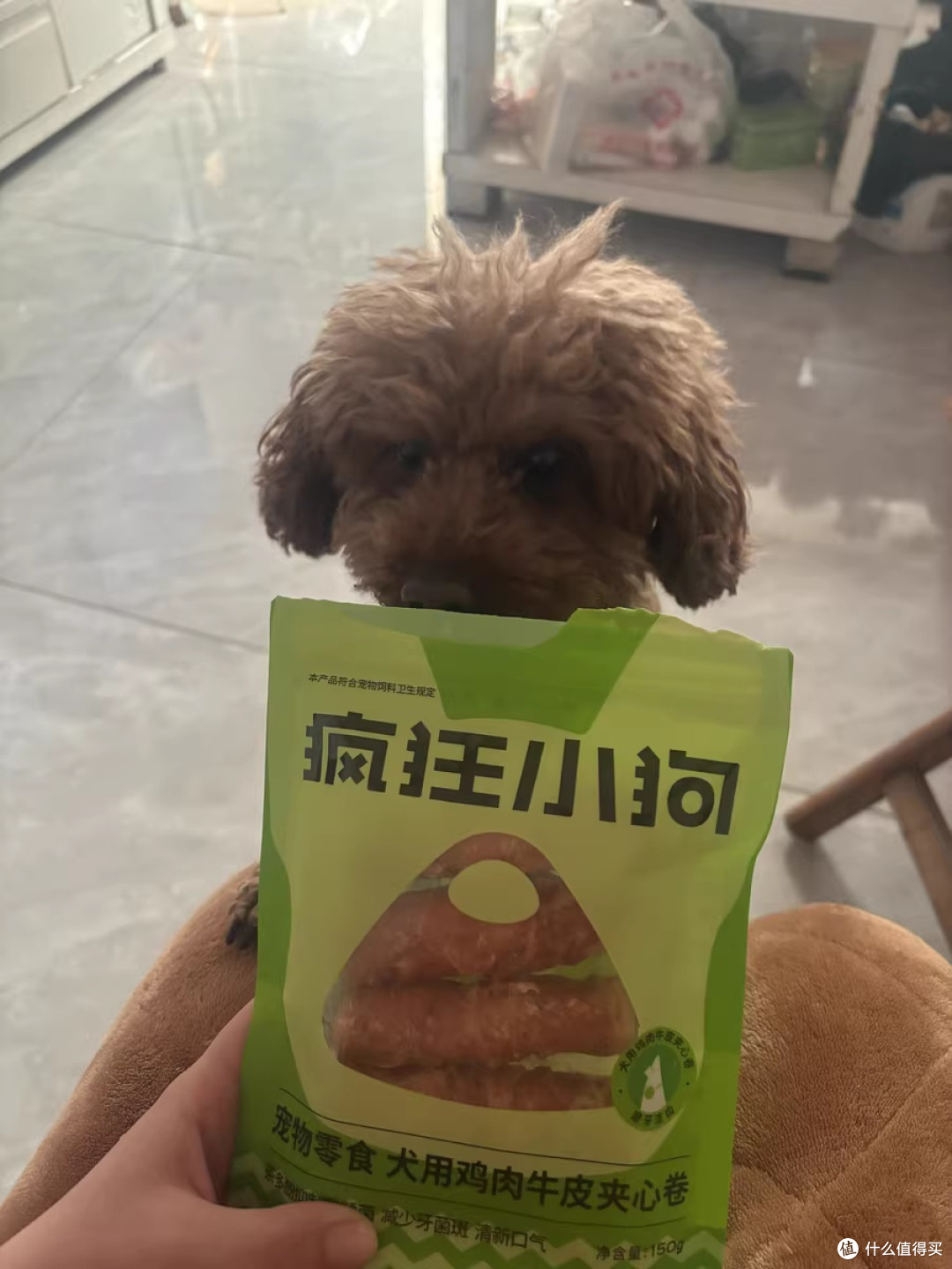 疯狂小狗狗牛皮夹心卷:它叼走的,是我一整天的疲惫