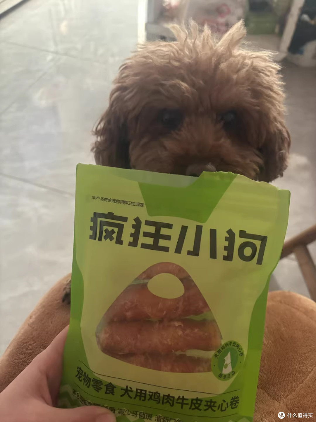 疯狂小狗狗牛皮夹心卷:它叼走的,是我一整天的疲惫