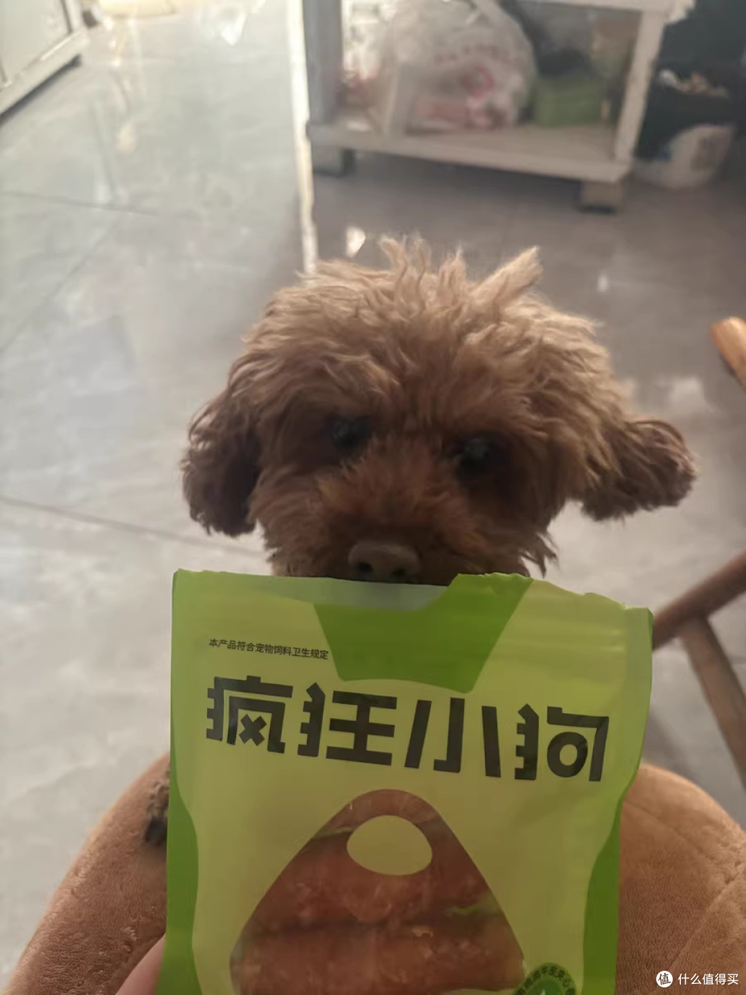 疯狂小狗狗牛皮夹心卷：它叼走的，是我一整天的疲惫