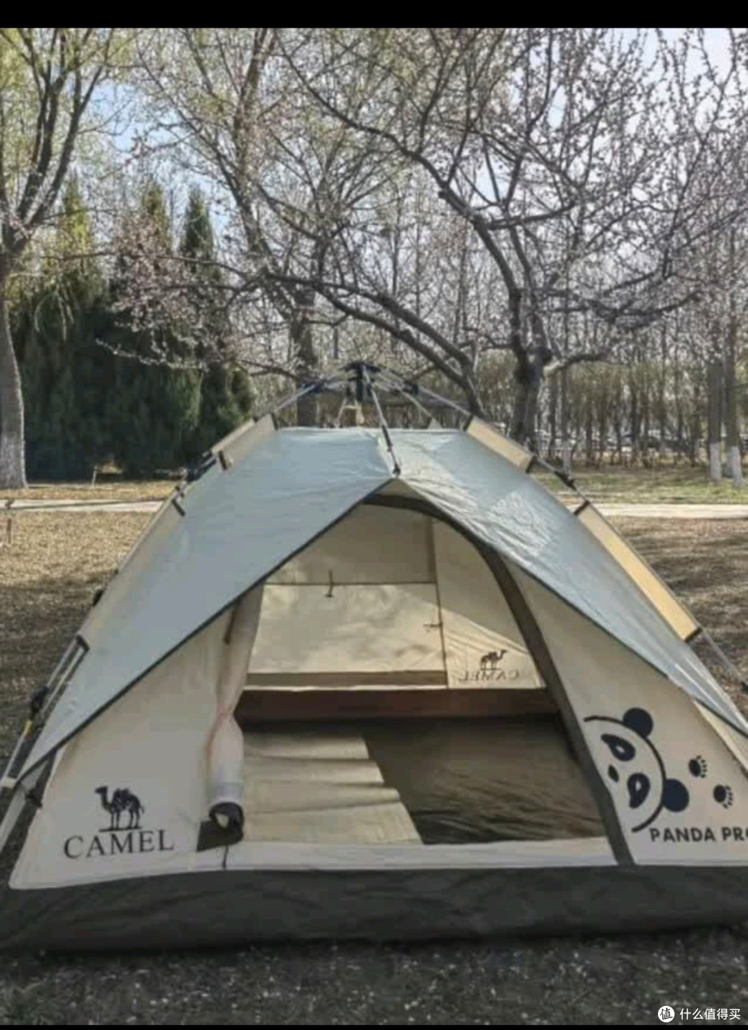骆驼（CAMEL）户外液压帐篷加厚便携式全自动野营野