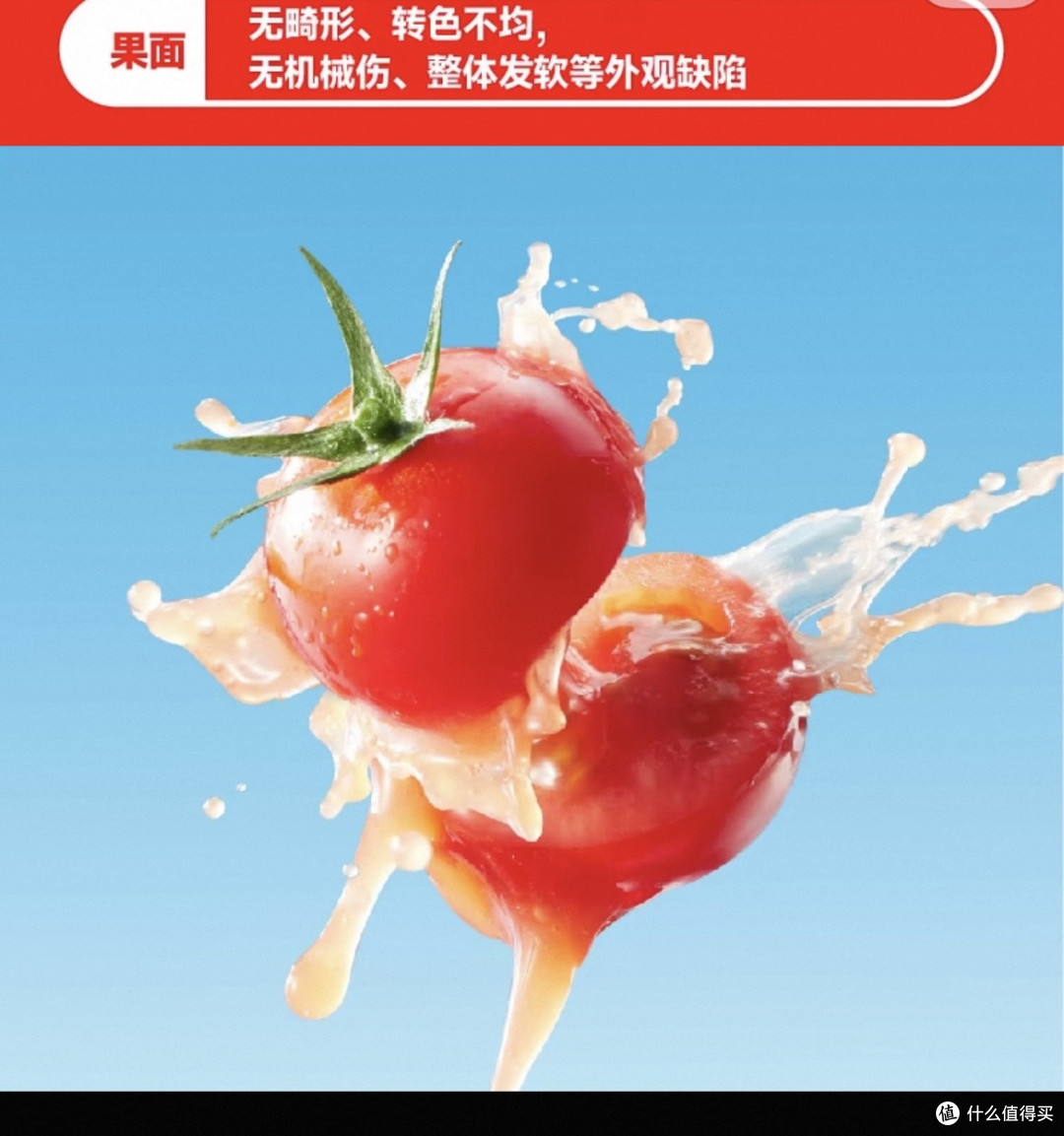 玲珑串收番茄:甜酸比完美