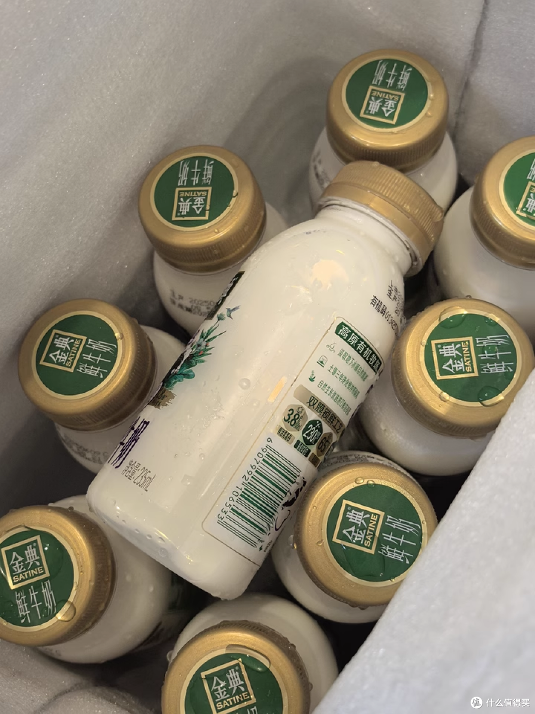 冰箱里的 “黄金 CP”!这组牛奶承包全家的幸福早餐