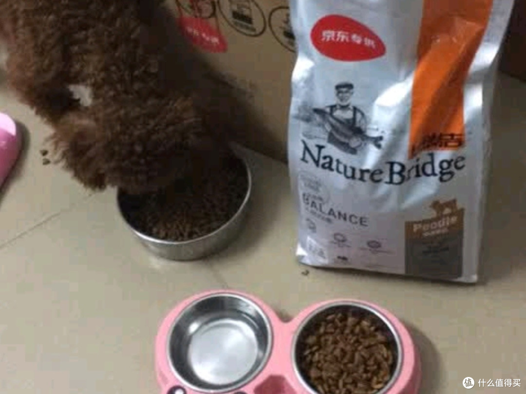 比瑞吉狗粮测评：泰迪贵宾的自然均衡之选