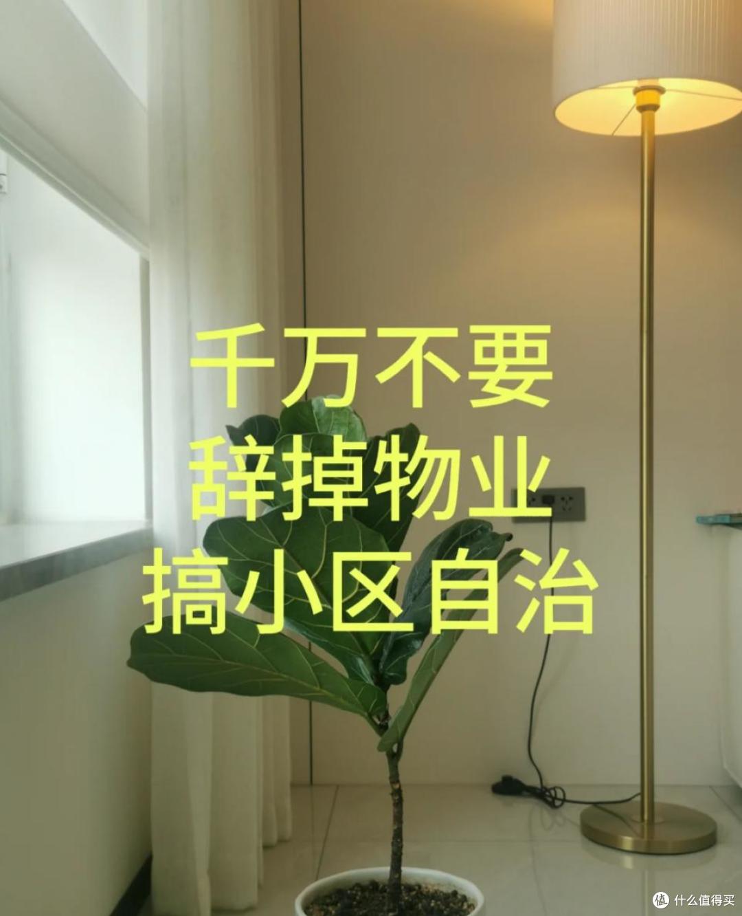 物业大撤退?这一仗,业主们打赢了吗?