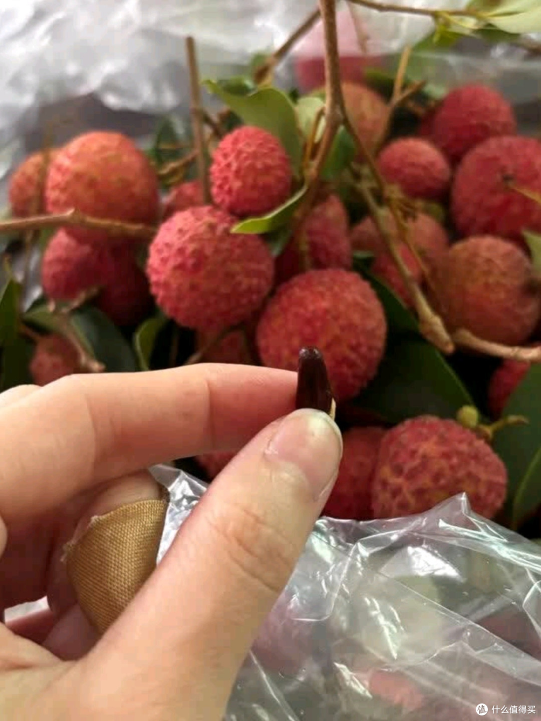 田拾记广东增城桂味荔枝测评:鲜美与便捷的完美结合