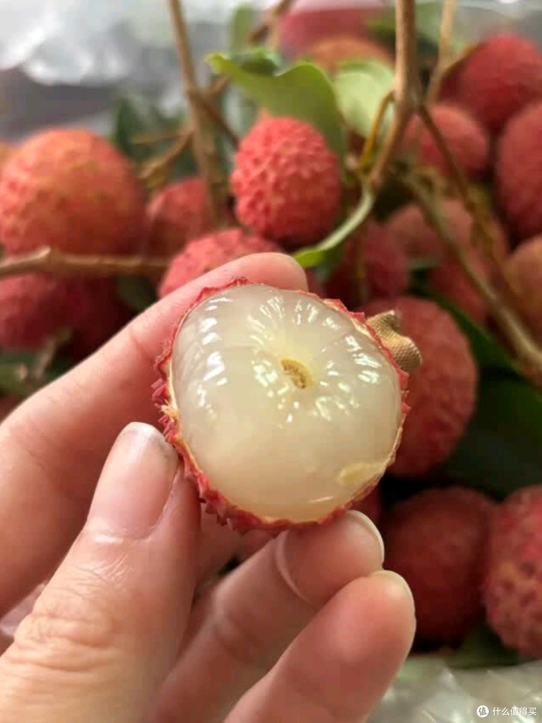 田拾记广东增城桂味荔枝测评:鲜美与便捷的完美结合