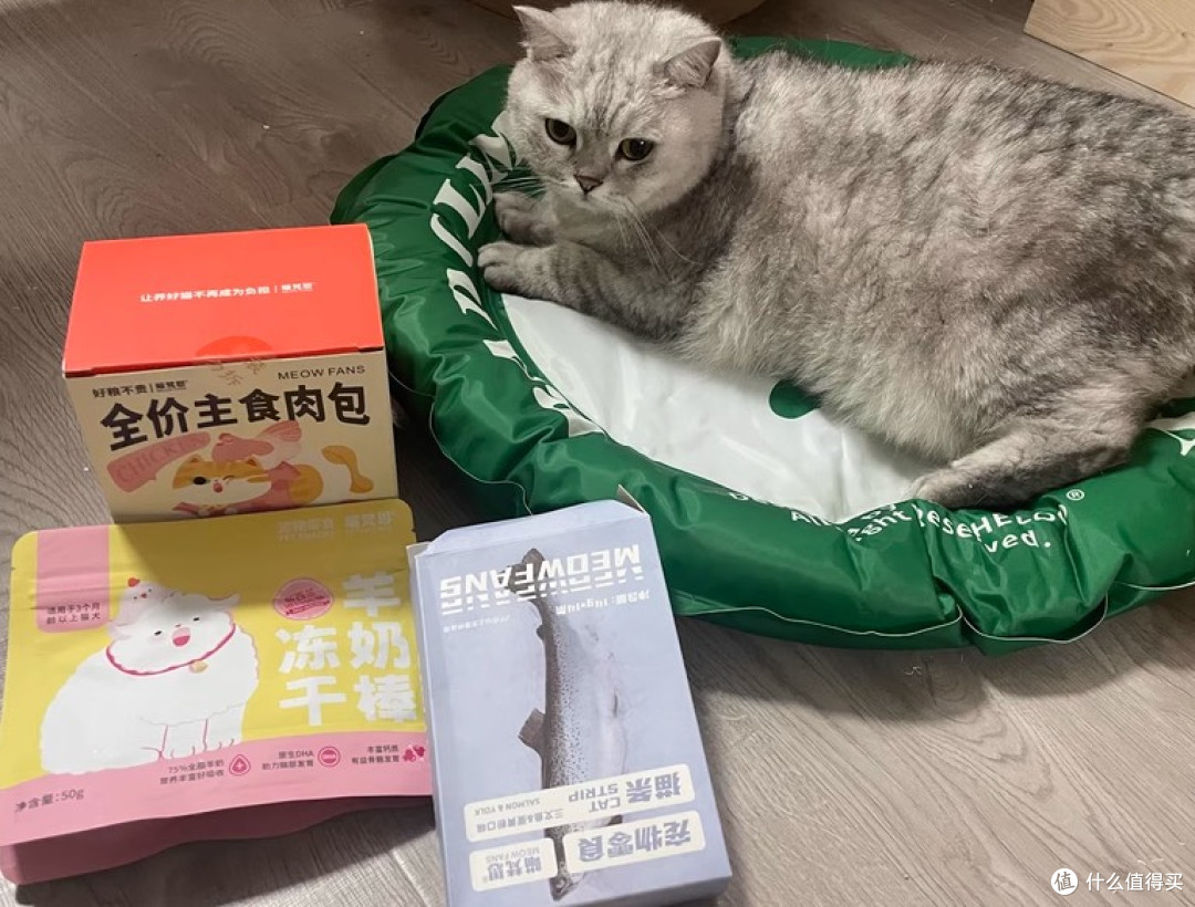 幼猫成猫湿粮包揭秘!营养补水全攻略
