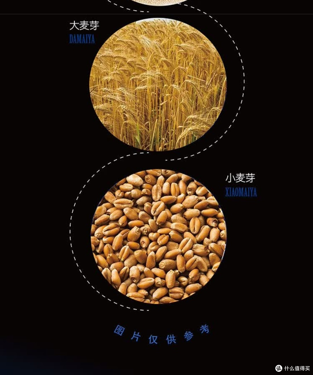 一口龙山泉白啤,畅饮本溪风味