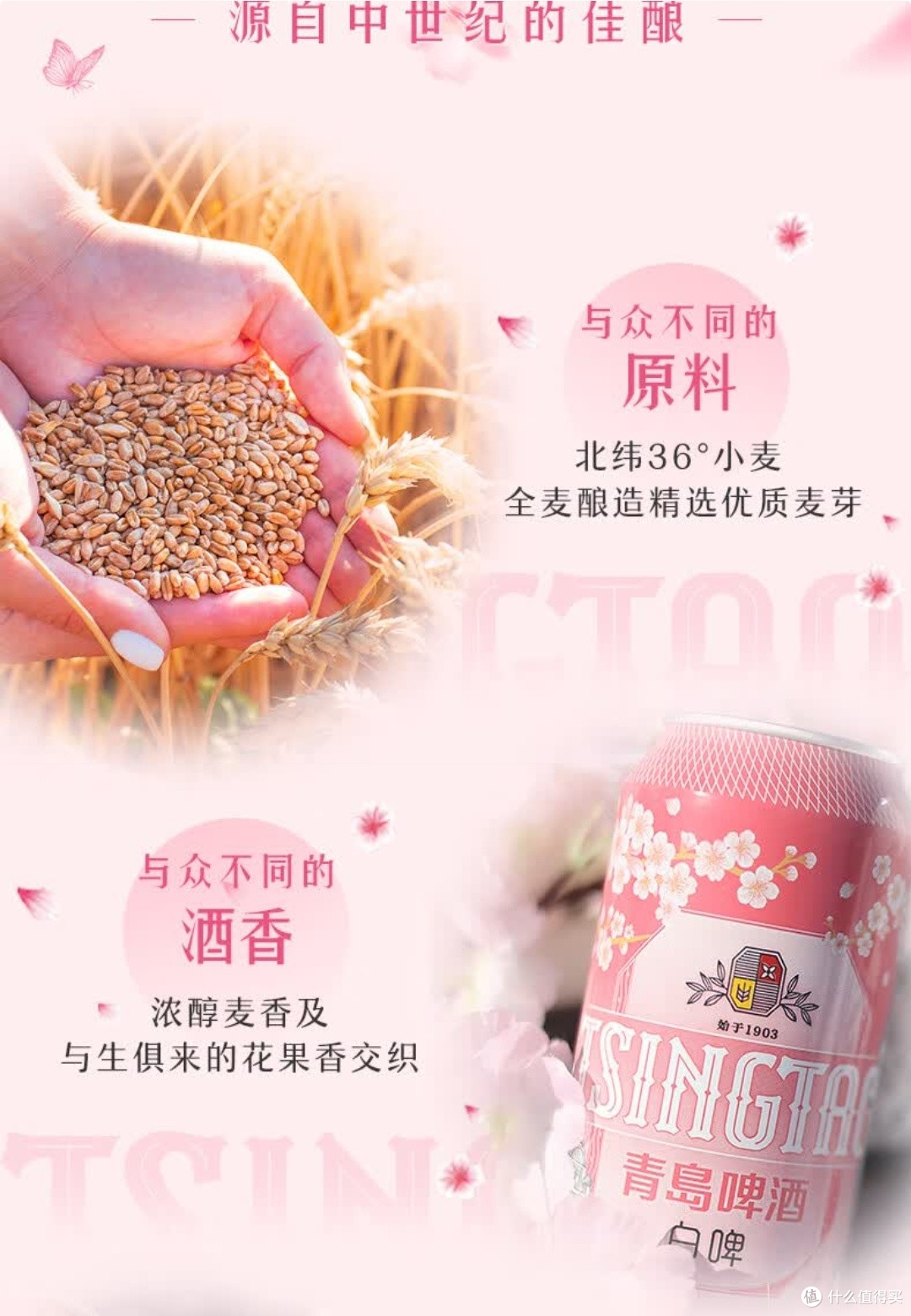 青岛啤酒全麦精酿白啤樱花限定款:当麦香邂逅樱花雪
